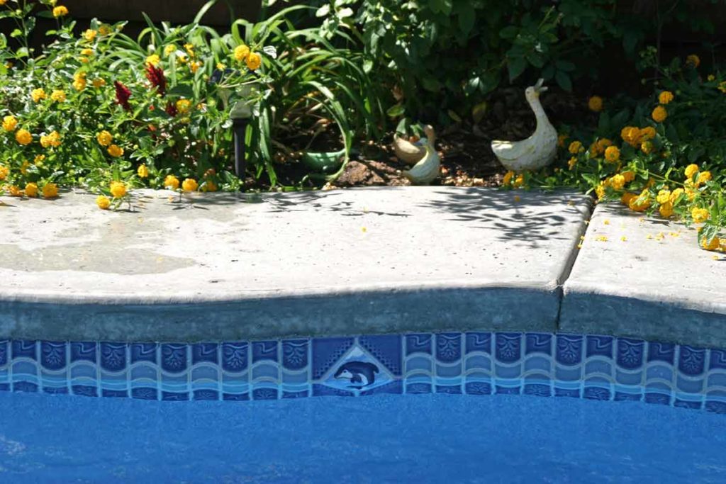 Ciscon Landscaping & Outdoor Living