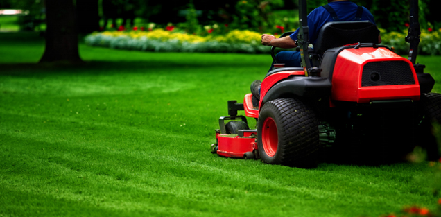 Riding mower cutting green lawn in park