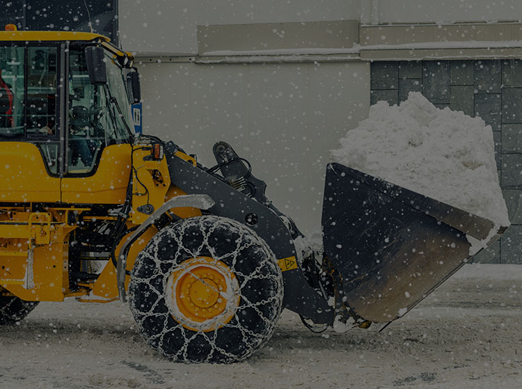 Ciscon Landscaping Snow